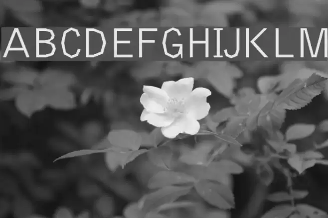 Delinquent-Regular Font examples