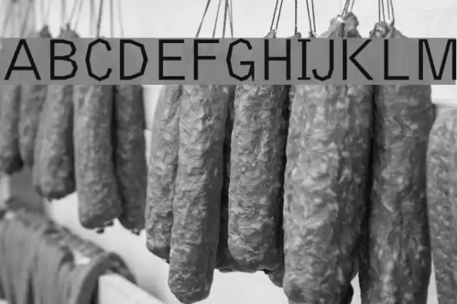 Delinquent-Regular Font examples