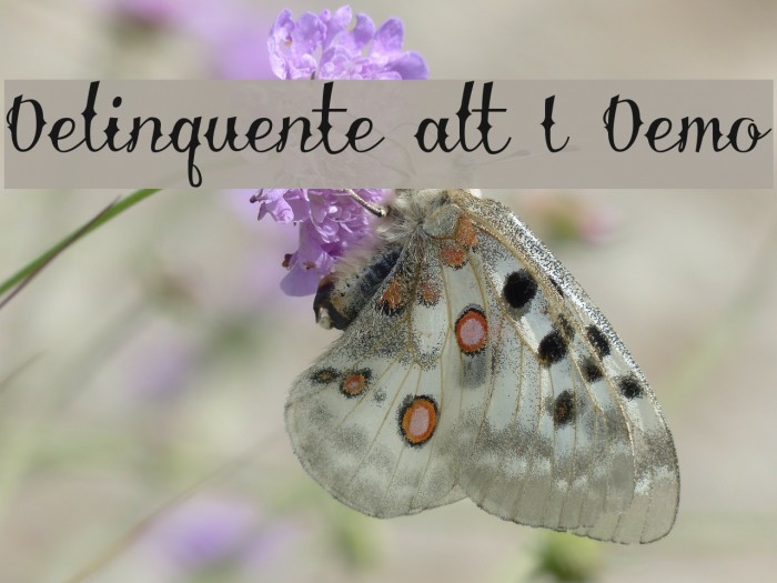 Delinquente alt I Demo Font examples