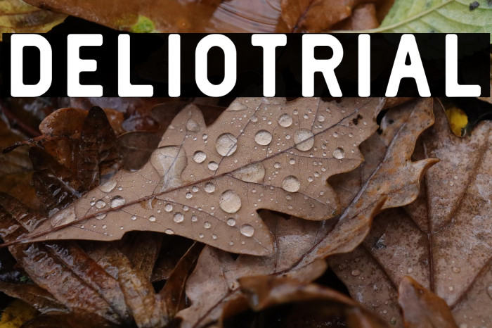 Delio-trial Example 2