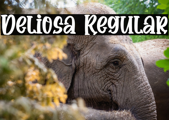 Deliosa Regular Example 2