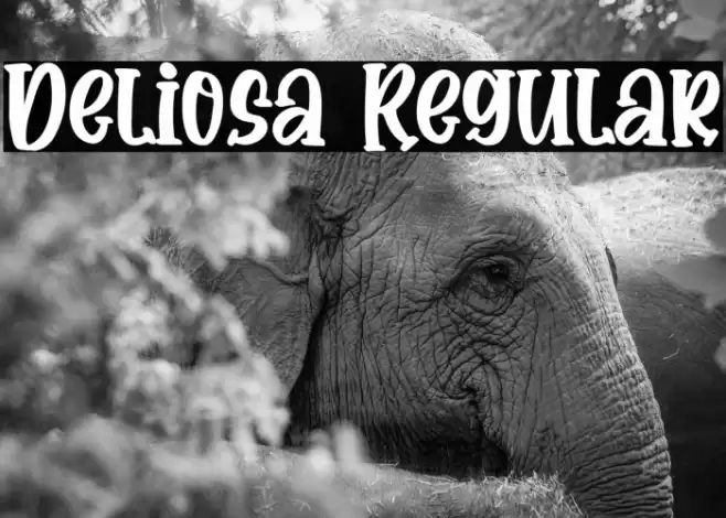 Deliosa Regular Font examples