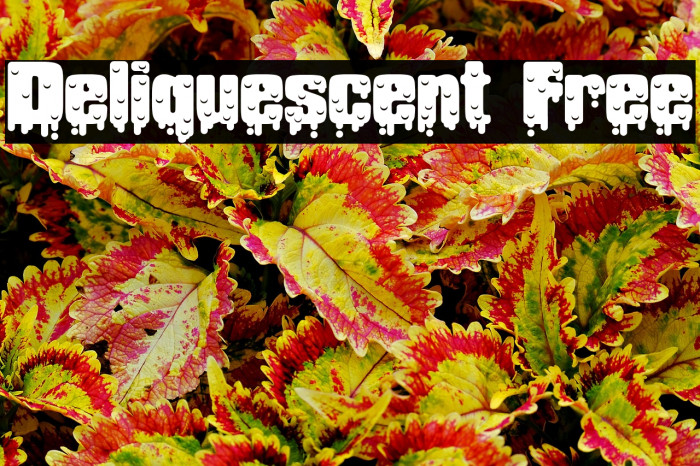 Deliquescent Free Example 2