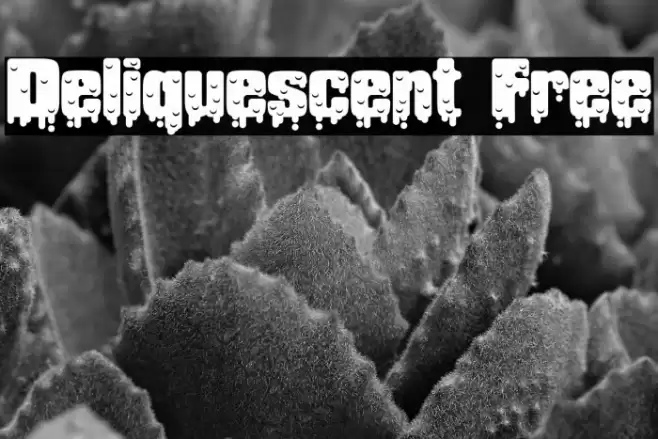 Deliquescent Free Font examples