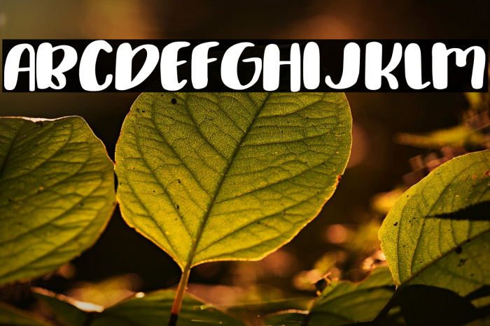 Delirious Medium Font examples