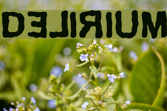 Delirium Font examples