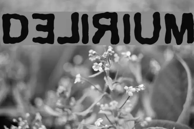Delirium Font examples