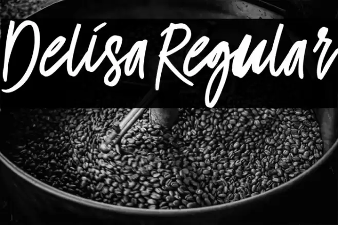 Delisa-Regular Font examples