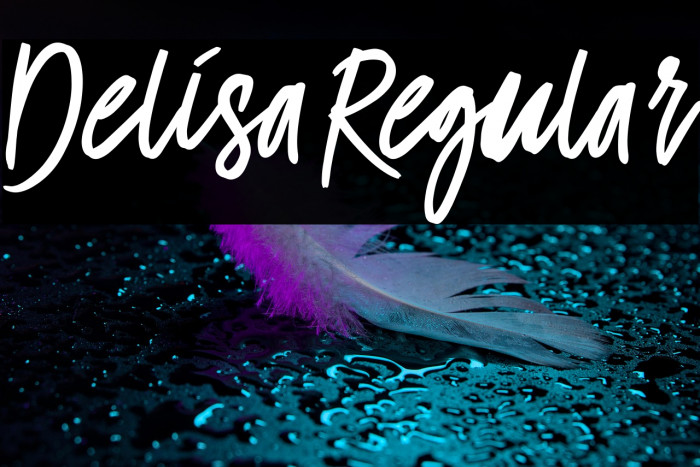 Delisa-Regular Example 3