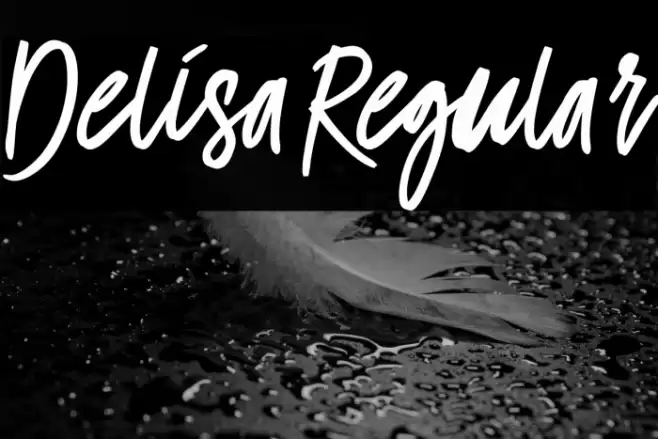 Delisa-Regular Font examples