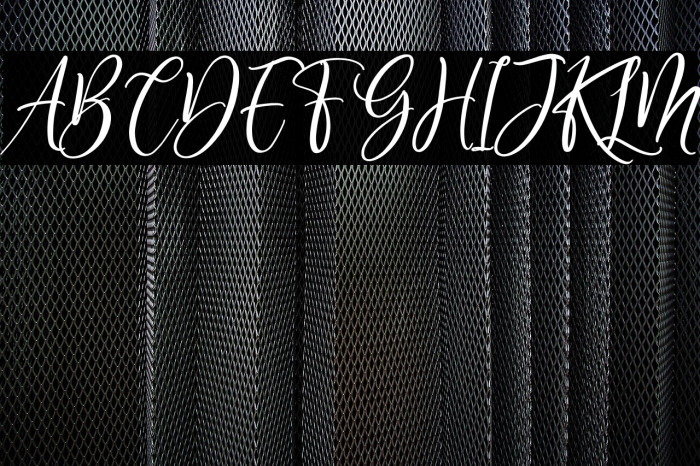 Delisha Glande Italic Example 1