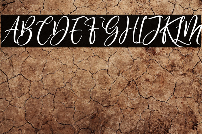 Delisha Glande Italic Example 3