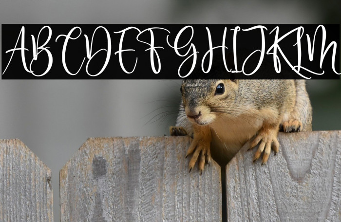 Delisha Glande Example 2