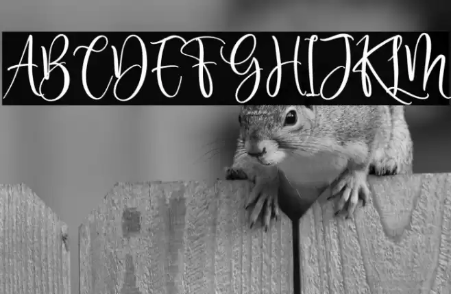 Delisha Glande Font examples