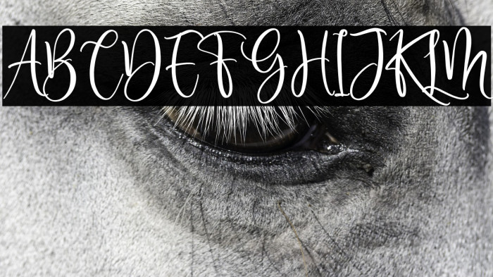 Delisha Glande Example 3