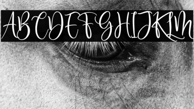 Delisha Glande Font examples