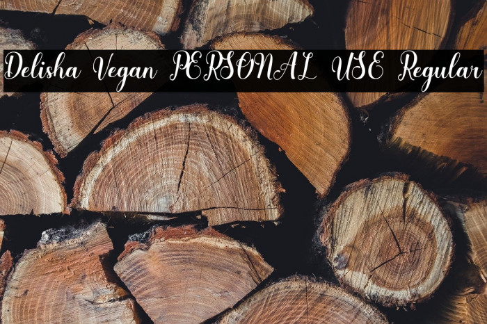 Delisha Vegan PERSONAL USE Regular Example 1