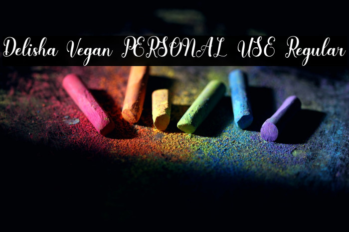Delisha Vegan PERSONAL USE Regular Example 3