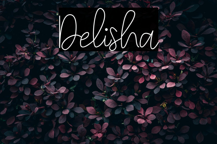 Delisha Example 1