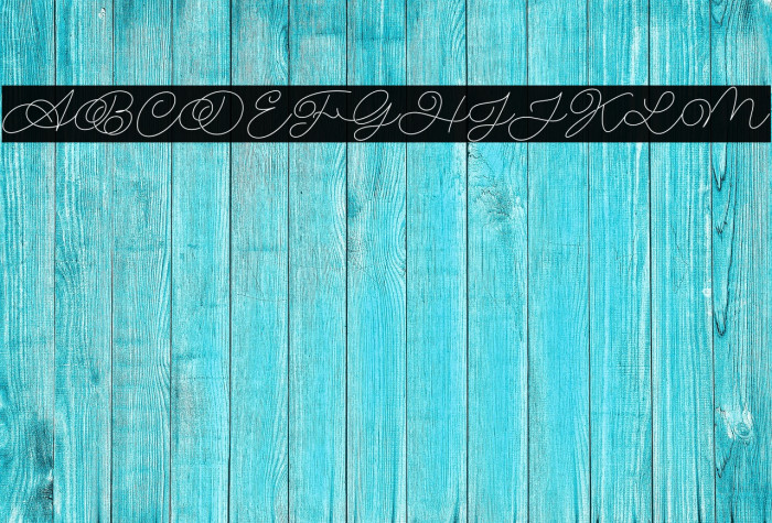 Delissa Beauty Example 3