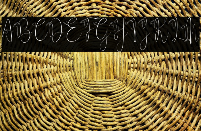 Delissa Script Example 1