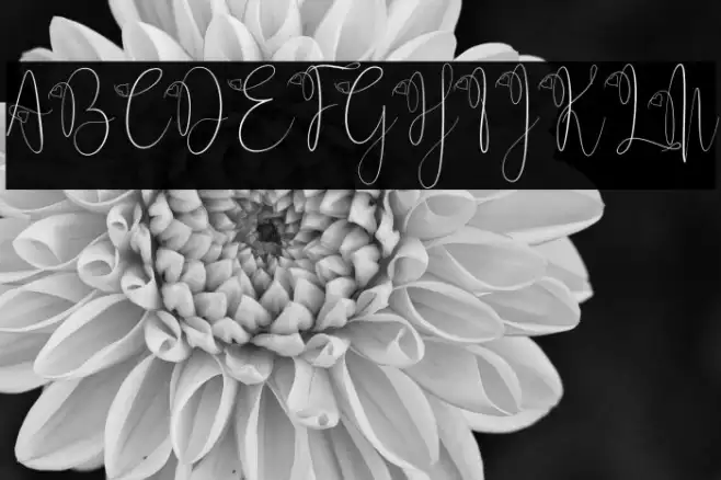 Delissa Script Example 2