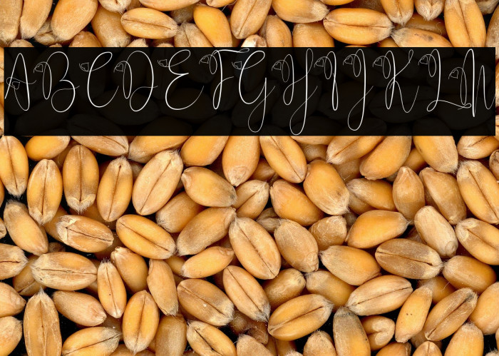 Delissa Script Example 3