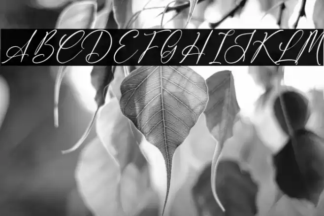 Delistaria Signature Font examples