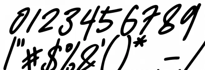 Delistha Signature Italic Font OTHER CHARS