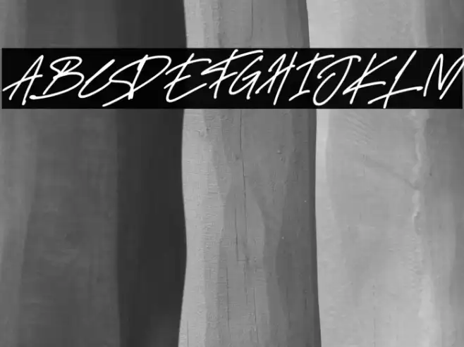 Delistha Signature Italic Example 1