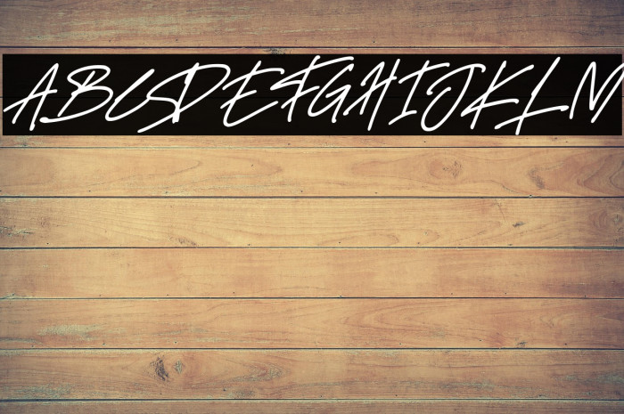 Delistha Signature Italic Example 3