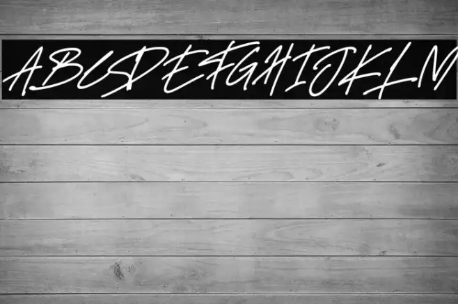 Delistha Signature Italic Example 3