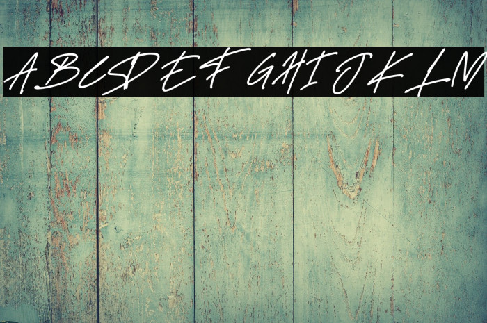 Delistha Signature Italic Example 1