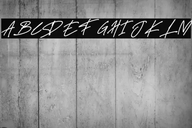 Delistha Signature Italic Font examples