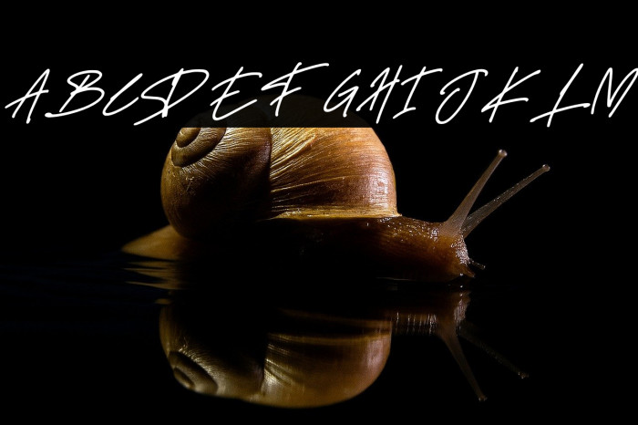 Delistha Signature Italic Example 2