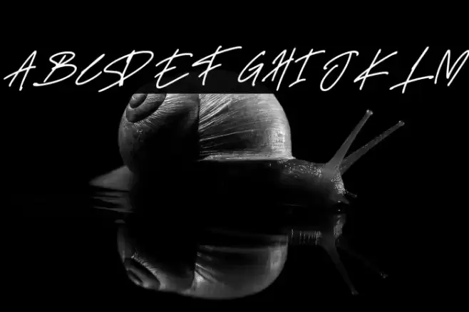 Delistha Signature Italic Font examples