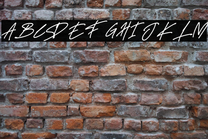 Delistha Signature Italic Example 3