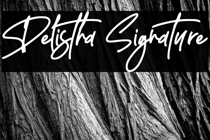 Delistha Signature Example 2