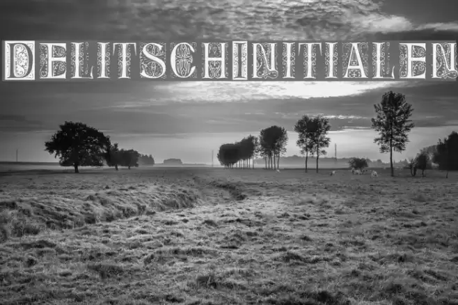 DelitschInitialen Font examples