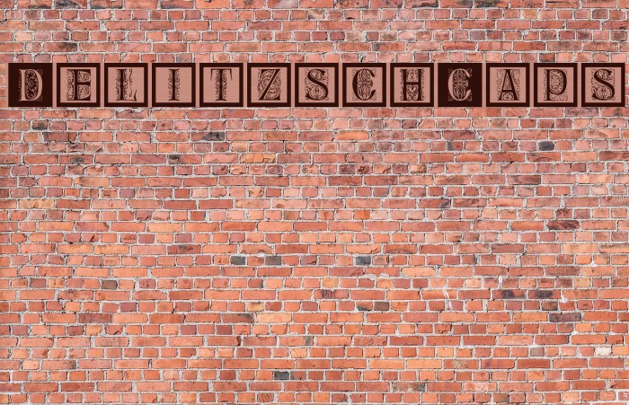 DelitzschCaps Example 1