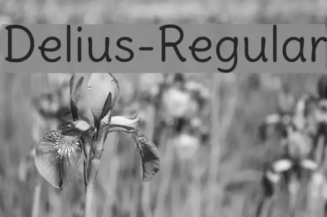 Delius-Regular Example 2