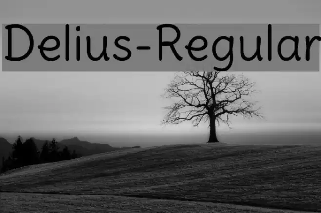 Delius-Regular Example 3