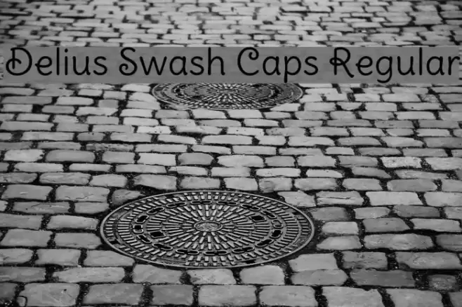 Delius Swash Caps Regular Font examples