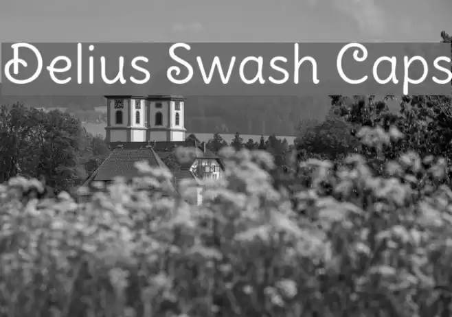 Delius Swash Caps Font examples