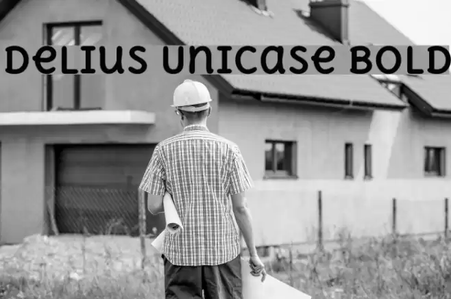 Delius Unicase Bold Font examples