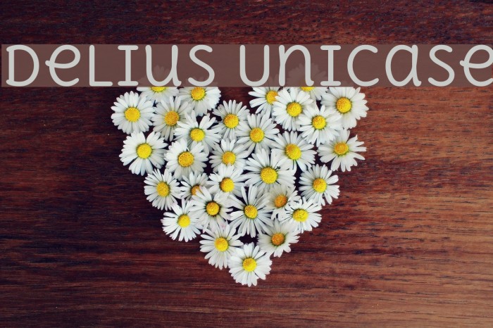 Delius Unicase Font examples