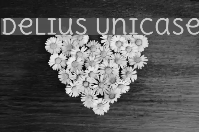 Delius Unicase Example 1