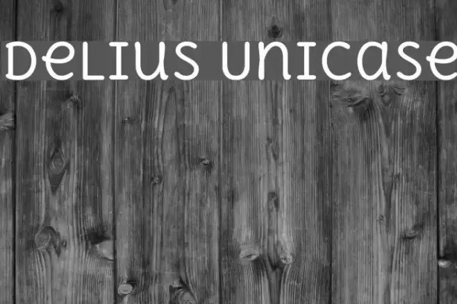 Delius Unicase Example 2