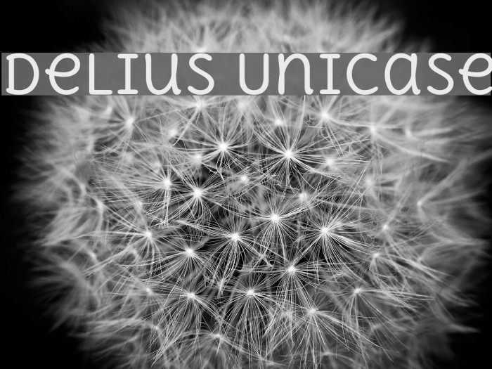 Delius Unicase Font examples