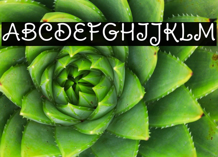 DeliusSwashCaps Regular1 خط examples